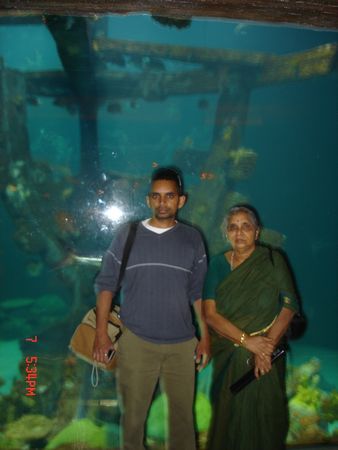 Click to see next picture