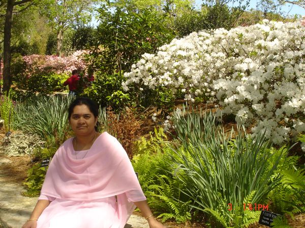 Click to see next picture