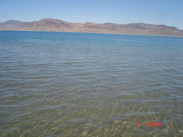 Click to see next picture